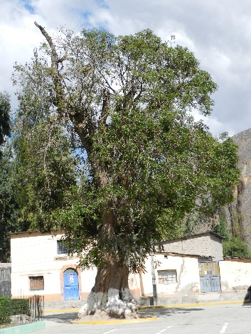 caminatas COTAHUASI - Imagen 5