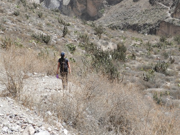 CAÑON DE COTAHUASI - Imagen 7