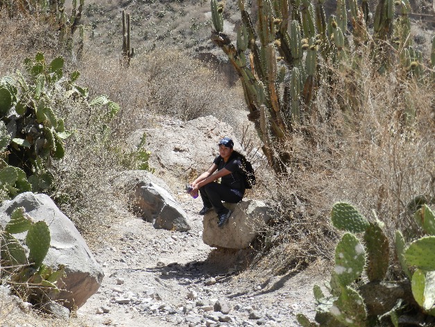 CAÑON DE COTAHUASI - Imagen 5