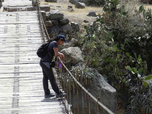 CAÑON DE COTAHUASI - Imagen 9