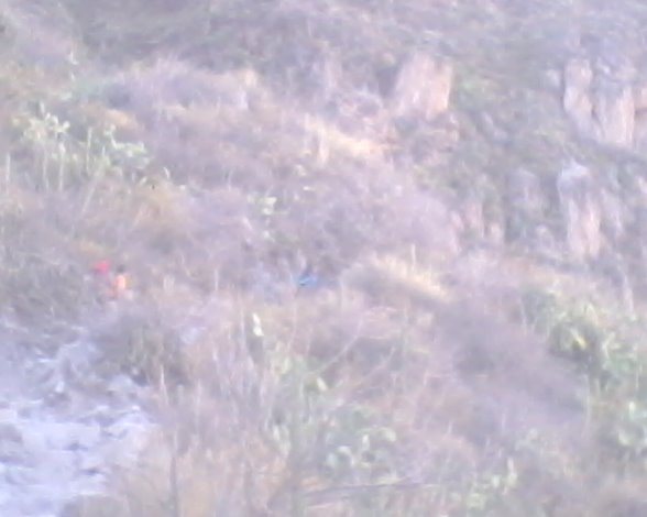 CAÑON DEL COLCA - Imagen 6