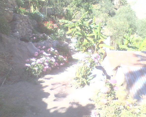 CAÑON DEL COLCA - Imagen 8