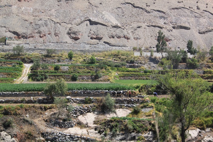 valle de chilina - Imagen 7