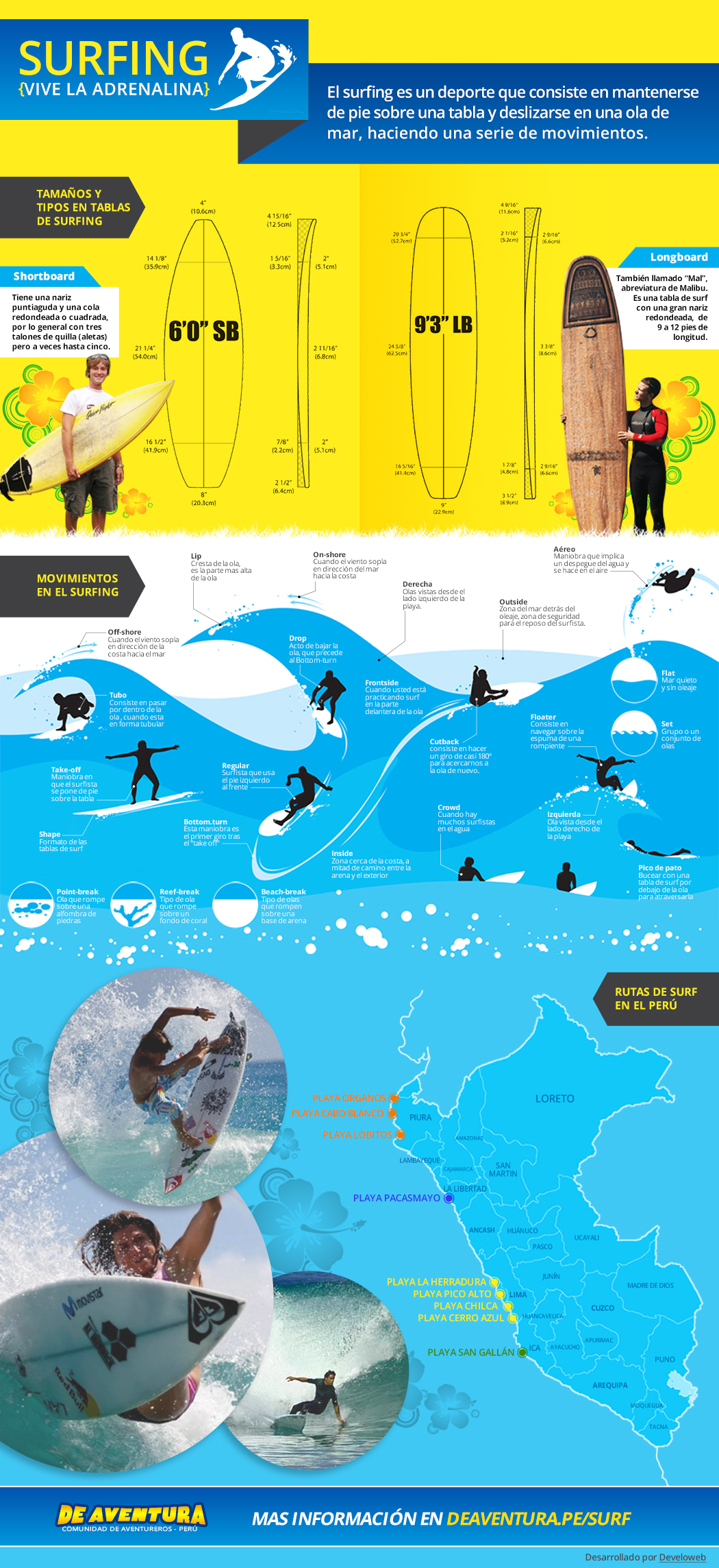 Infografía de Surfing: Tipos de Tablas, Movimientos y Rutas.