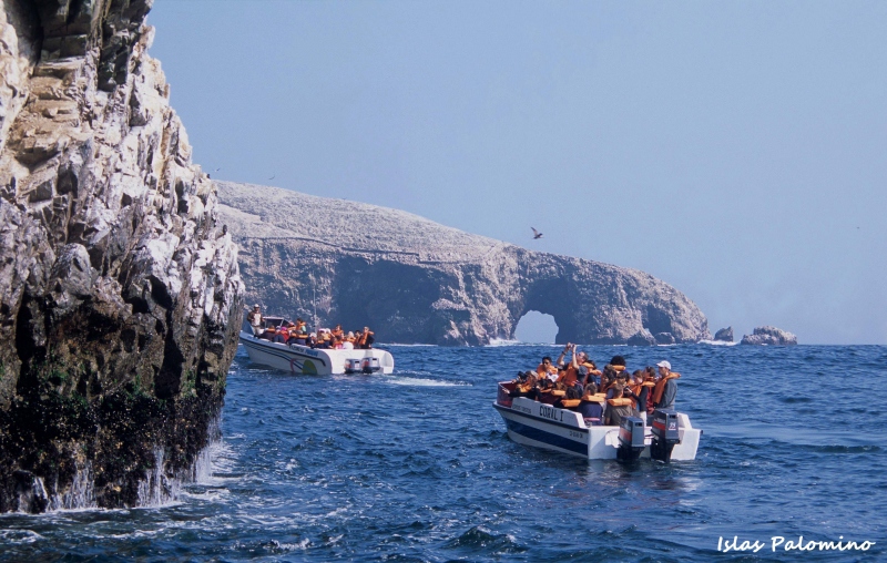 Islas Palomino