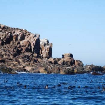 Isla Lobos de Tierra