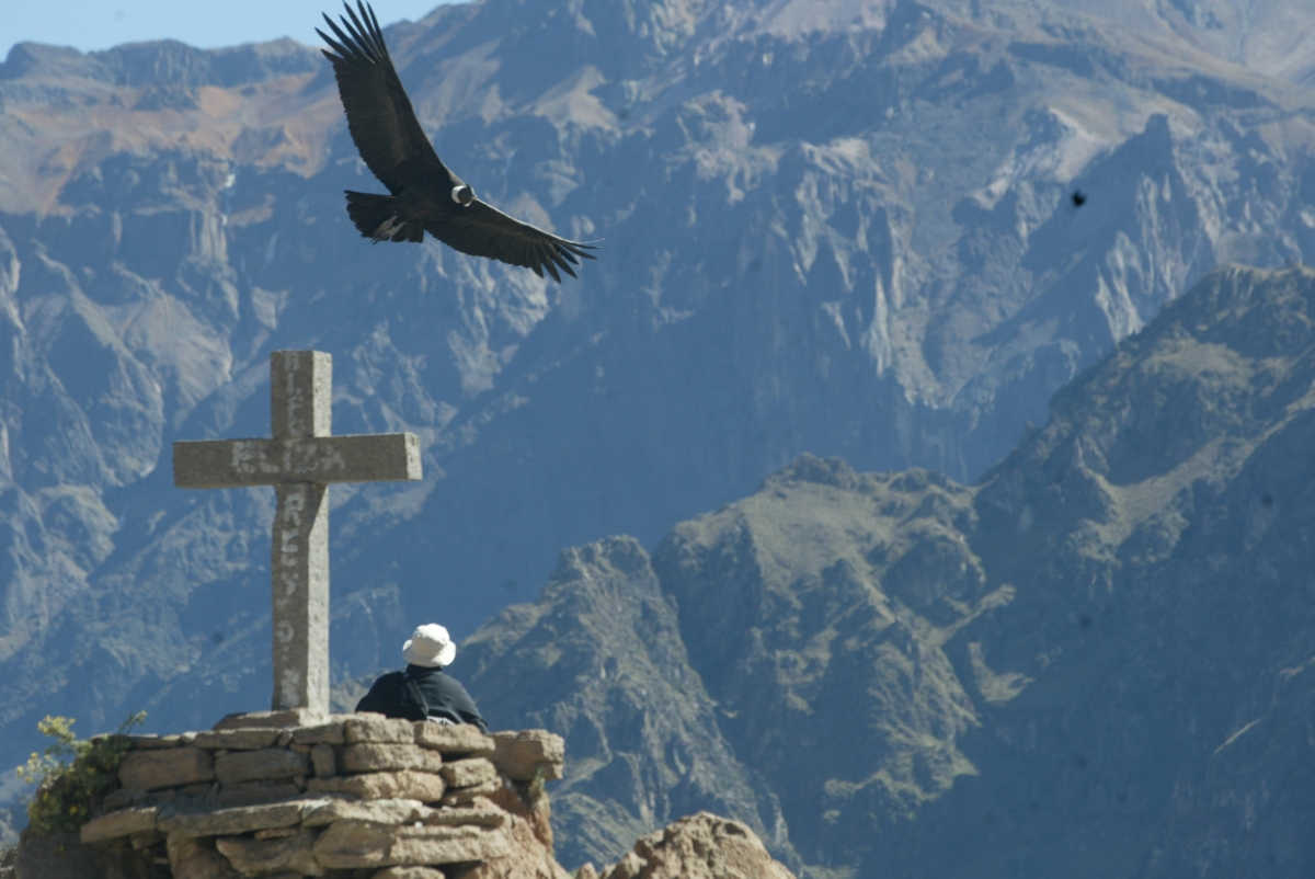 Mirador del Condor en el Colca