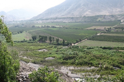 Ciclismo en Platanales de Totoritas