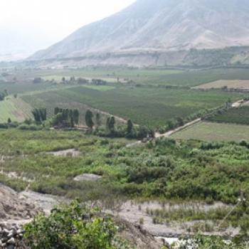 Ciclismo en Platanales de Totoritas